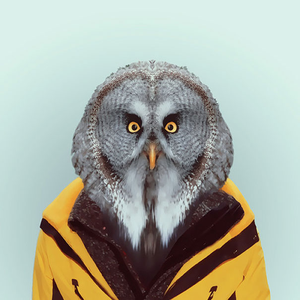Yago Partal 14 animal portraits culturainquieta