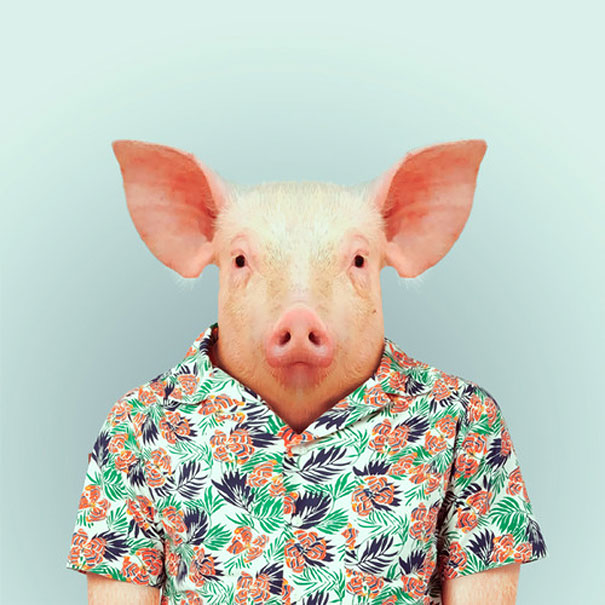 Yago Partal 15 animal portraits culturainquieta