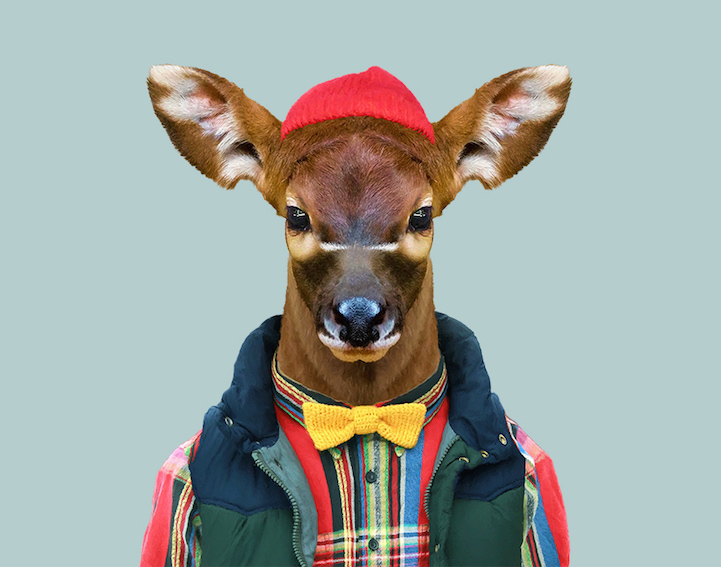 Yago Partal 1 animal portraits culturainquieta