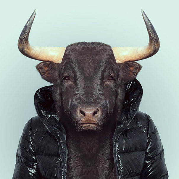 Yago Partal 2 animal portraits culturainquieta