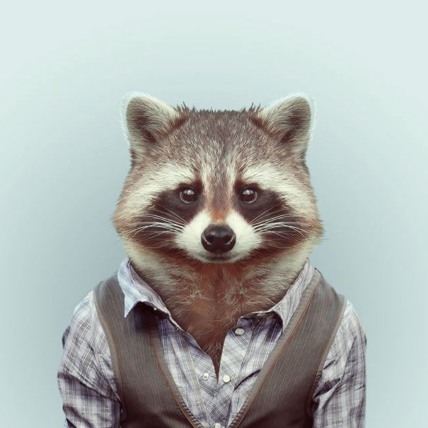 Yago Partal 3 animal portraits culturainquieta