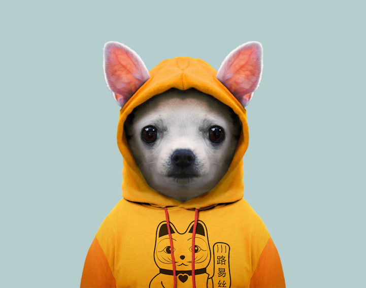 Yago Partal 5 animal portraits culturainquieta