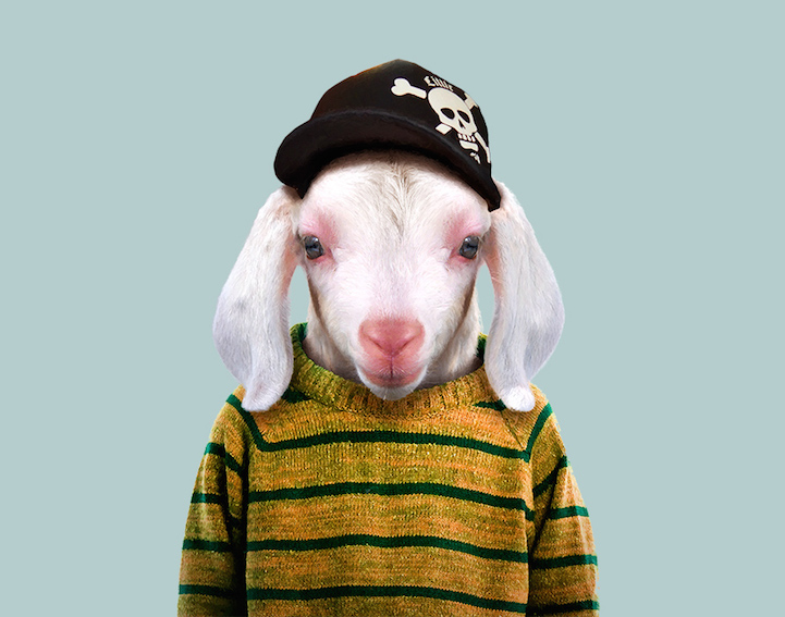 Yago Partal 7 animal portraits culturainquieta