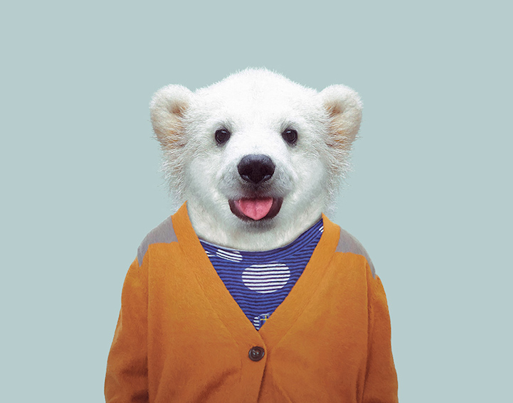 Yago Partal 8 animal portraits culturainquieta