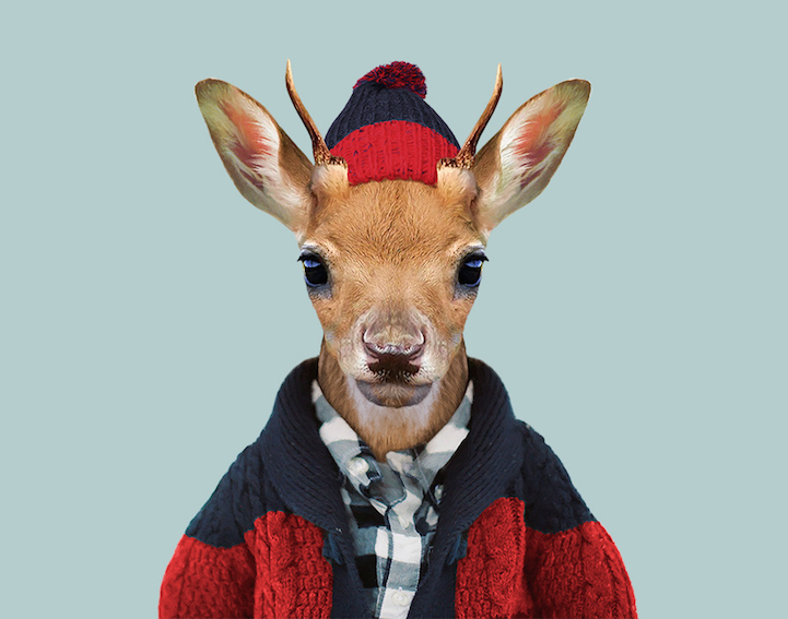 Yago Partal 9 animal portraits culturainquieta