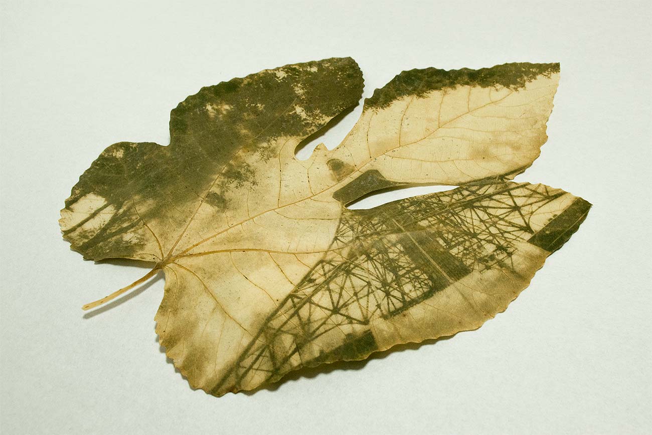 hirochiba