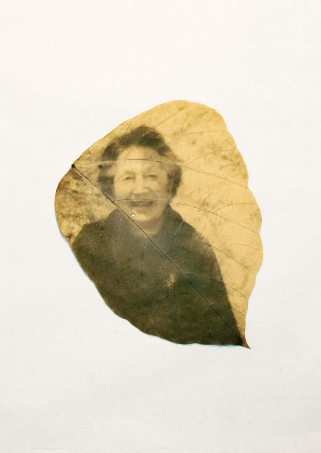 hirochiba culturainquieta2