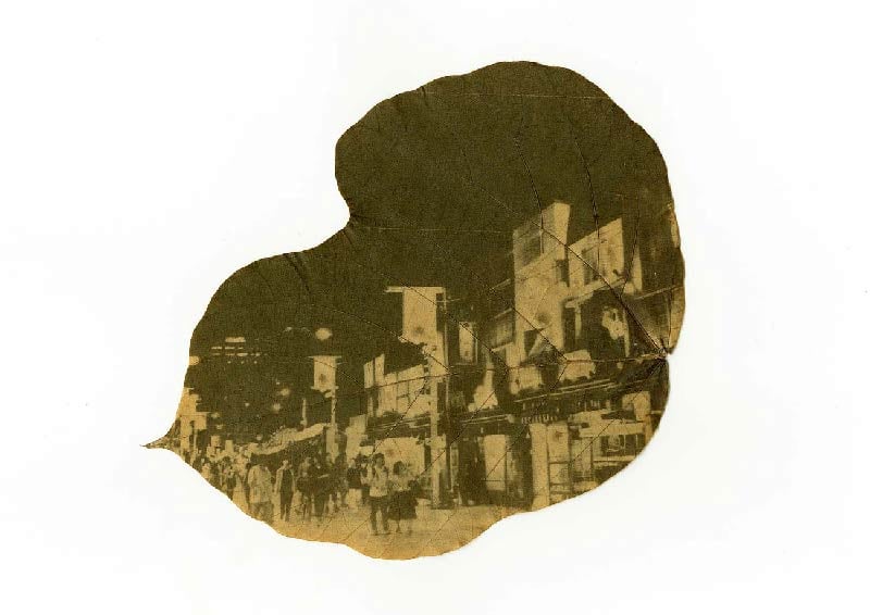 hirochiba culturainquieta6