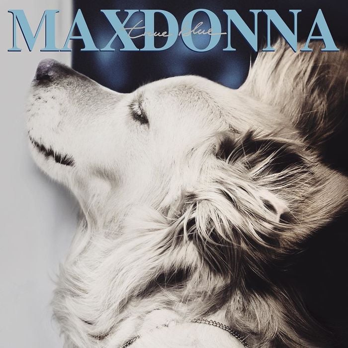 iconic madonna culturainquieta11