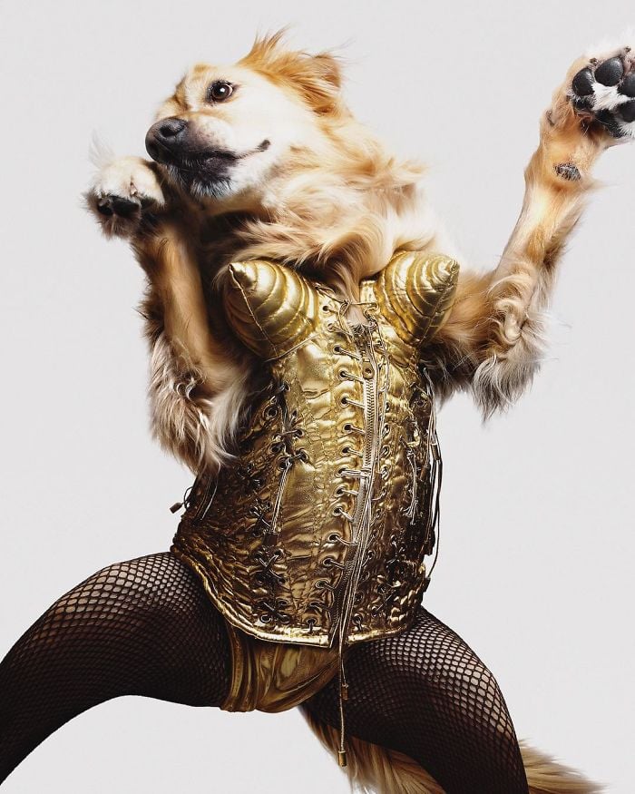 iconic madonna culturainquieta22