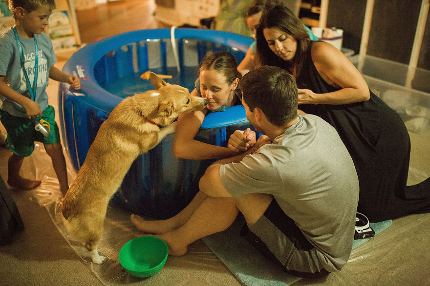 perroparto culturainquieta10