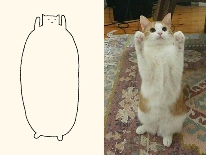 Daily Purrr 15 Gatos Ilustración Minimalismo Humor Viñeta Instagram
