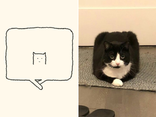 Daily Purrr 16 Gatos Ilustración Minimalismo Humor Viñeta Instagram