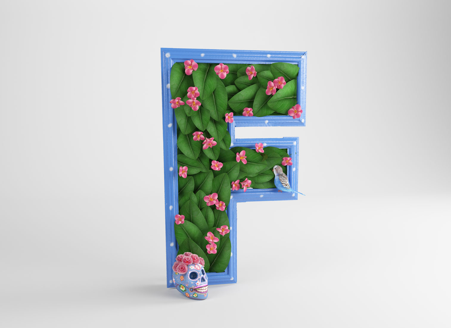 F FRIDA