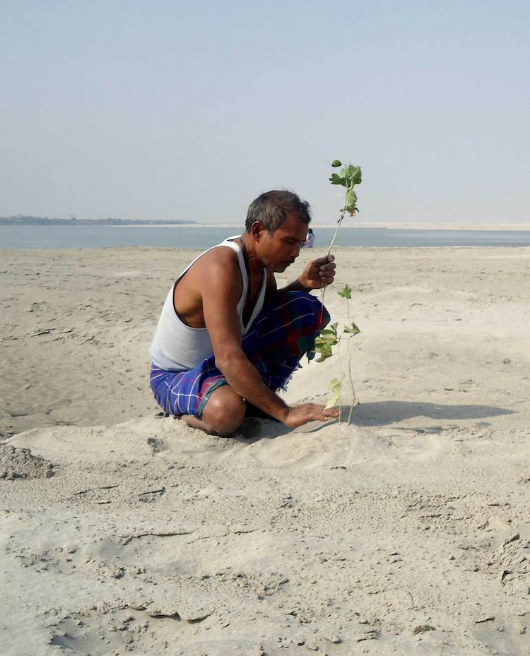 Jadav Payeng 1 el hombre bosque India ecología historia