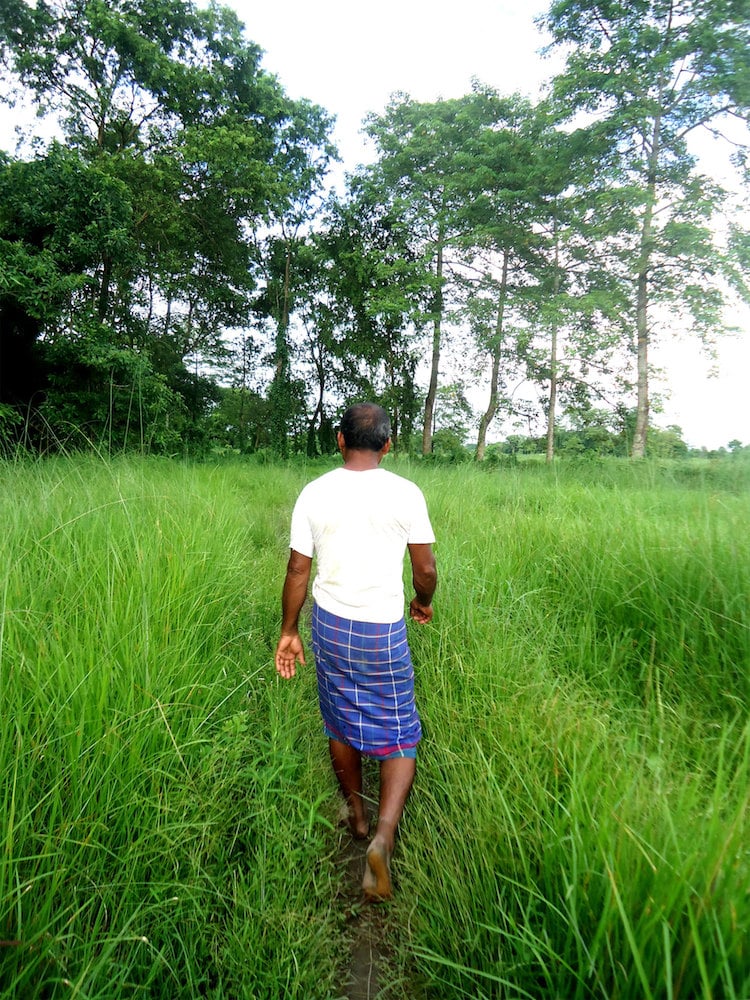 Jadav Payeng 5 el hombre bosque India ecología historia