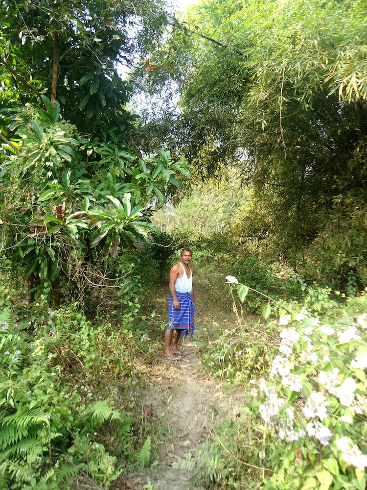 Jadav Payeng 6 el hombre bosque India ecología historia
