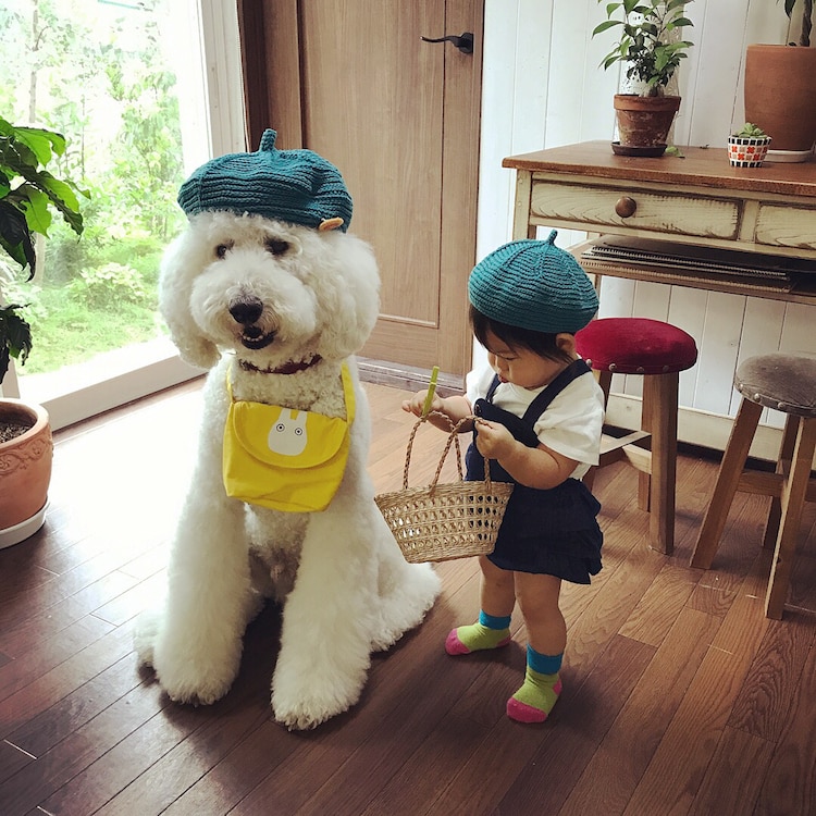 Mame y Riku 10 Instagram mascota canichegigante fotos adorable infancia