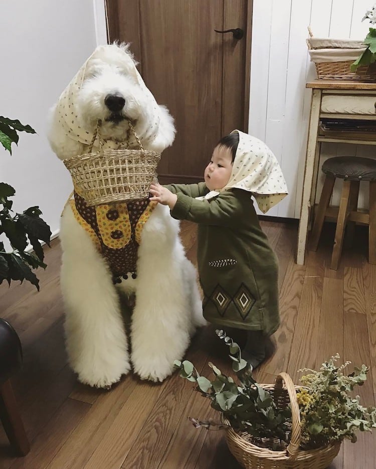 Mame y Riku 4 Instagram mascota canichegigante fotos adorable infancia