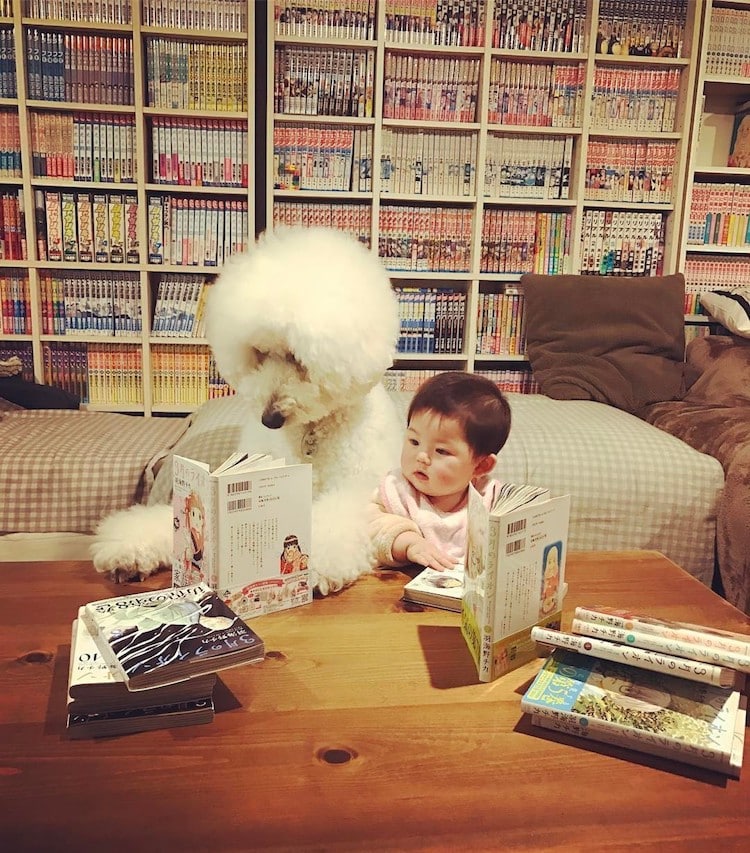 Mame y Riku 7 Instagram mascota canichegigante fotos adorable infancia