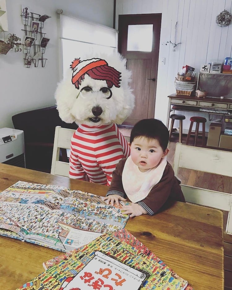 Mame y Riku 8 Instagram mascota canichegigante fotos adorable infancia