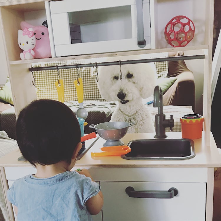 Mame y Riku 9 Instagram mascota canichegigante fotos adorable infancia