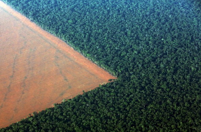 SOS Tierra 05