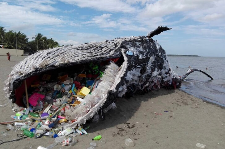 SOS Tierra 13