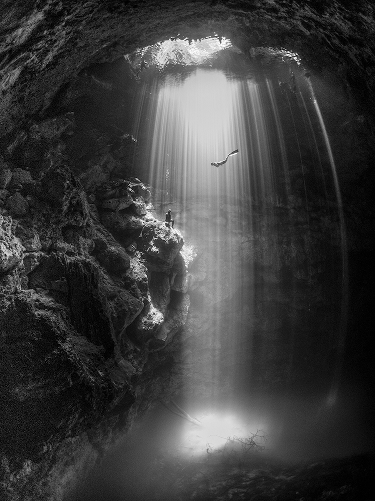 Scuba Diving 9 magazine concurso fotografía submaina mar vidasalvaje