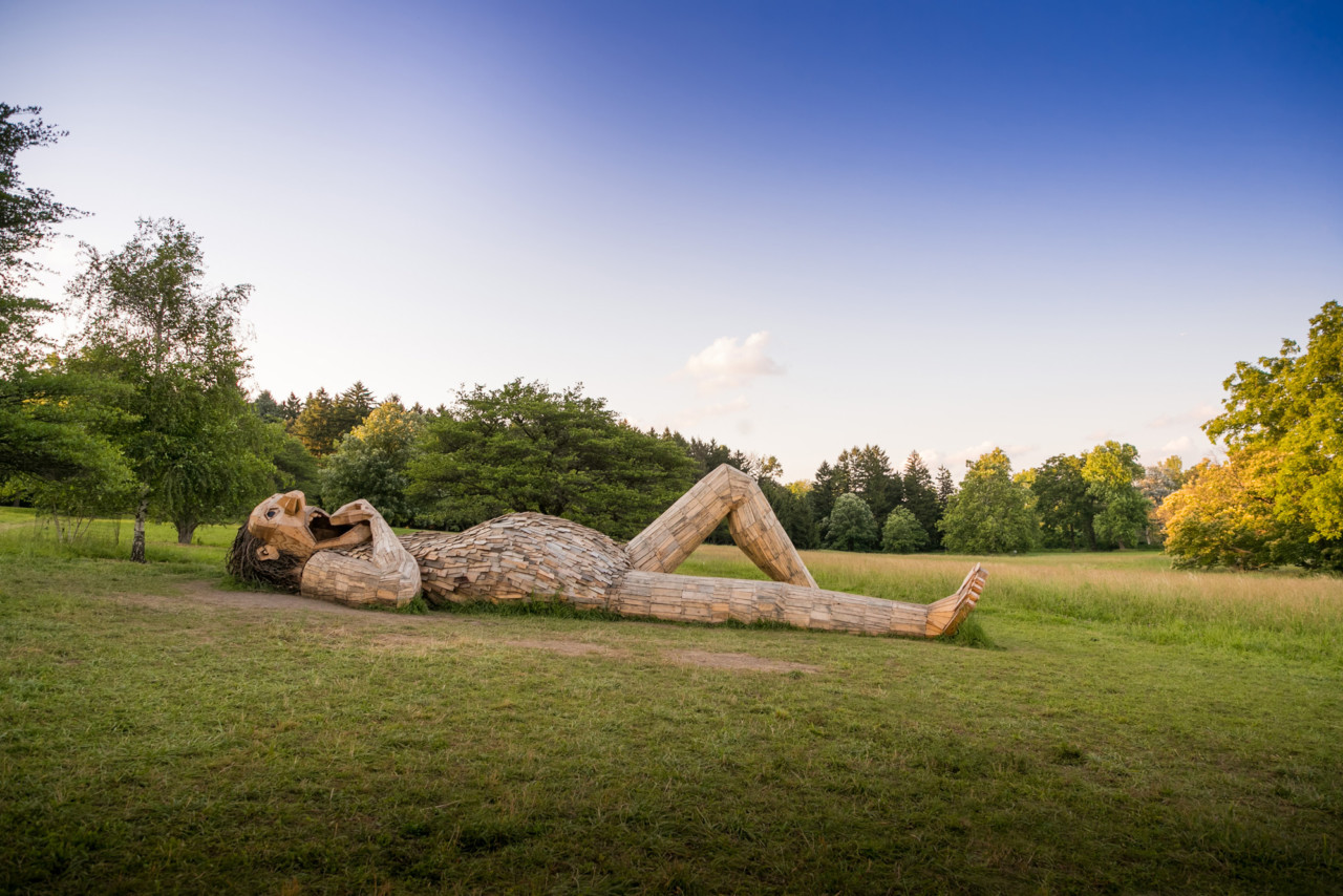 Trolls arboreto 04