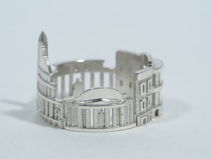anillos skyline washington