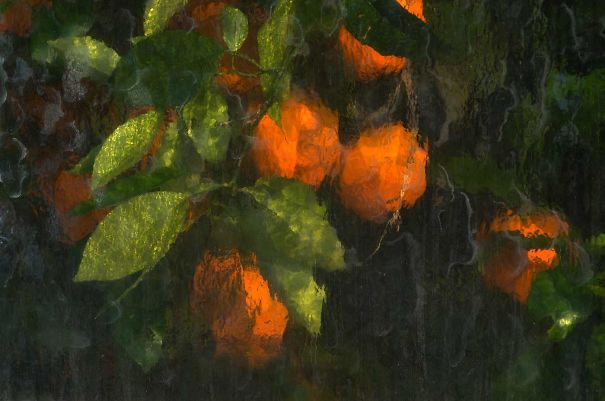 arte accidental 04