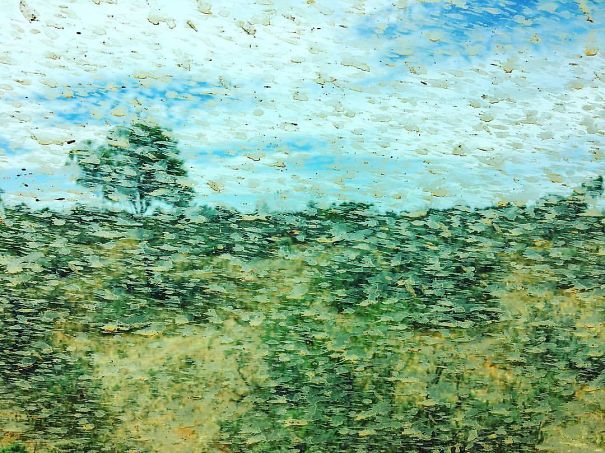 arte accidental 11