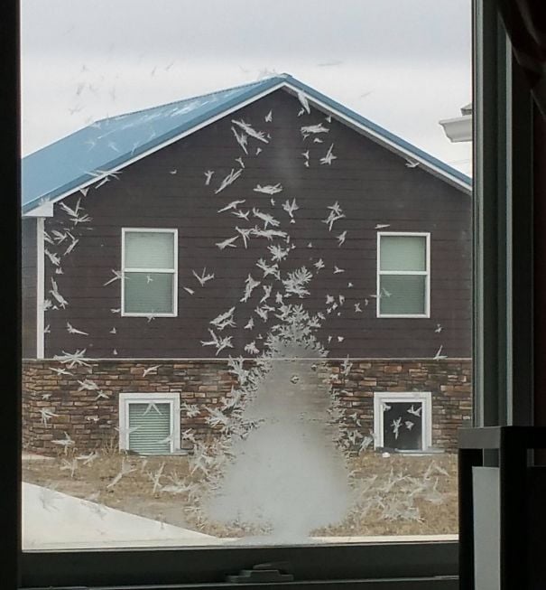 arte accidental 27