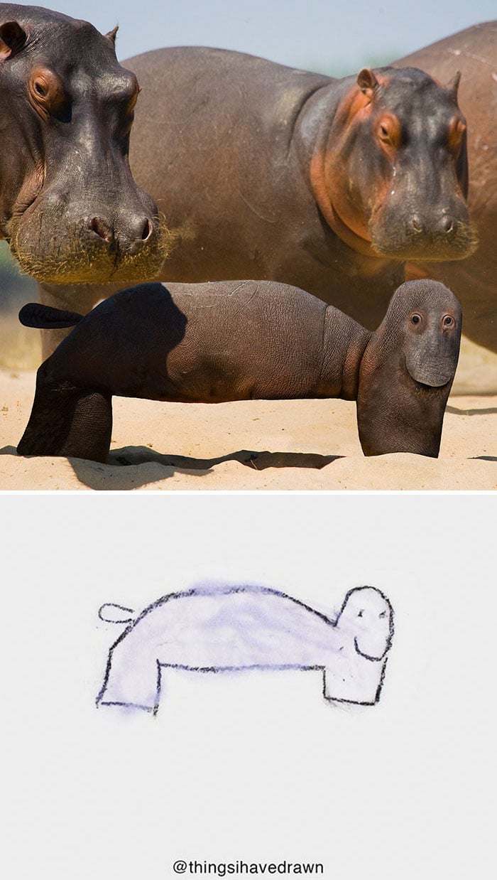 garabatos realistas 13