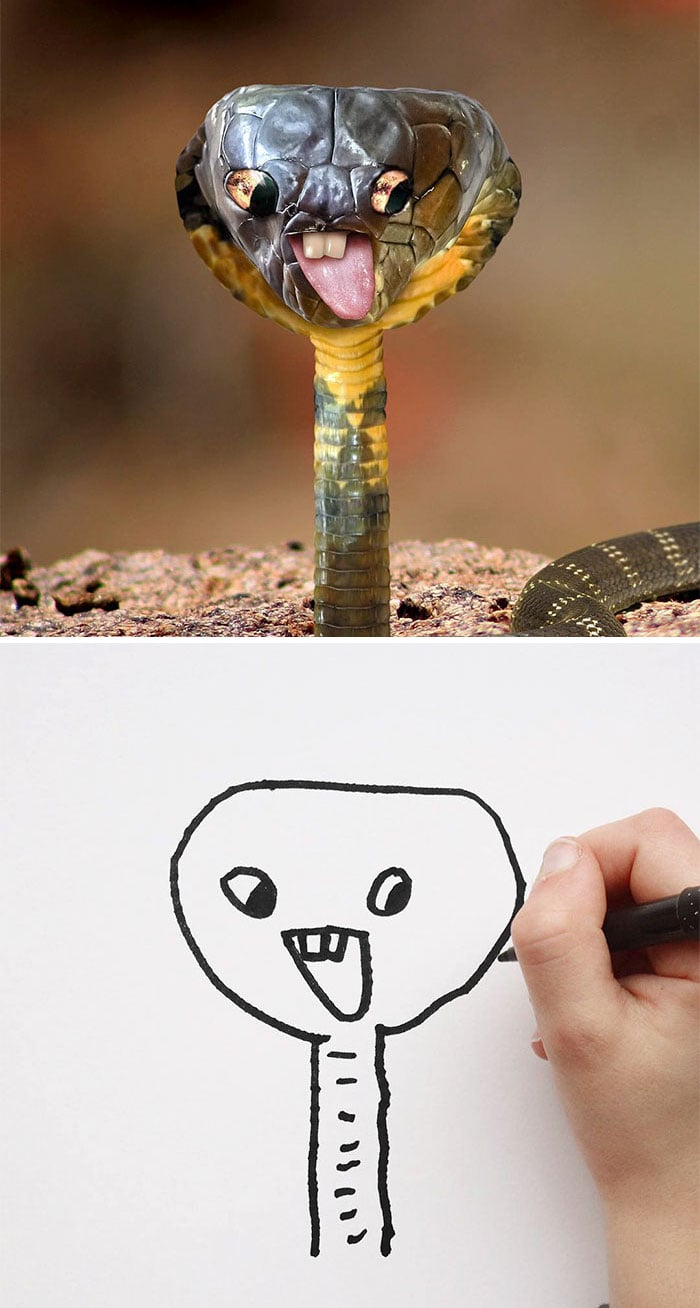 garabatos realistas 15