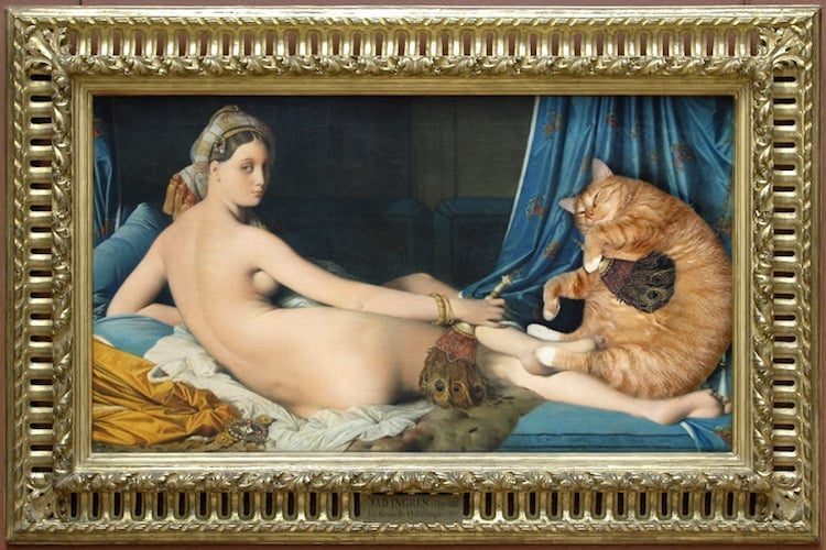 pinturas con gato 04