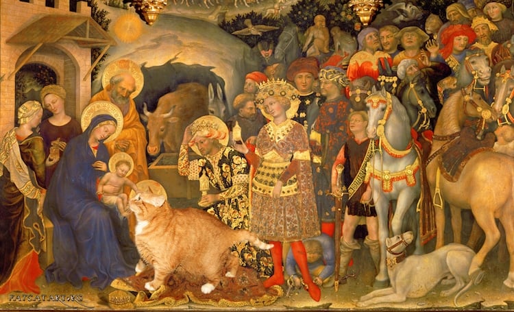 pinturas con gato 07