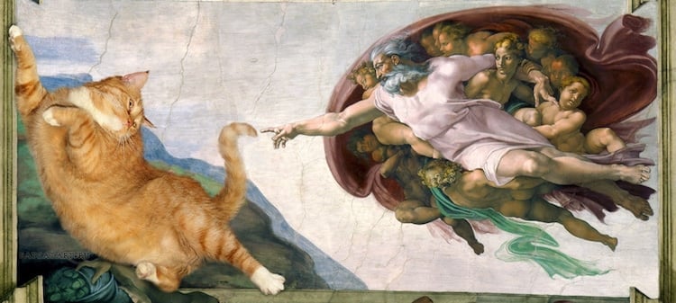 pinturas con gato 15