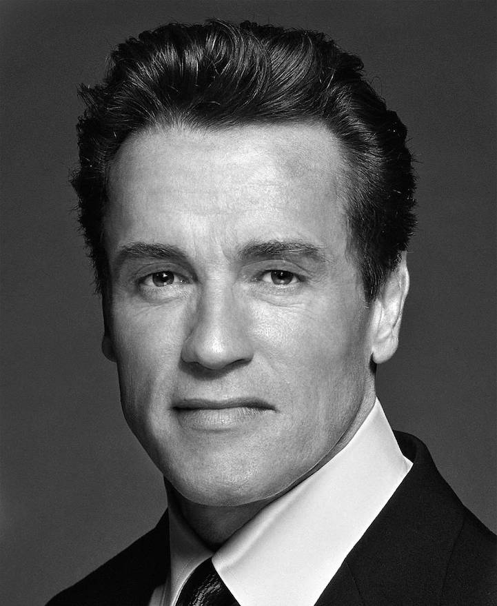 retrato mix schwarzenegger stallone