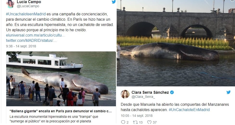 Cachalote Madrid 6 PuentedeSegovia Curiosidad Ecología Noticia CambioClimático
