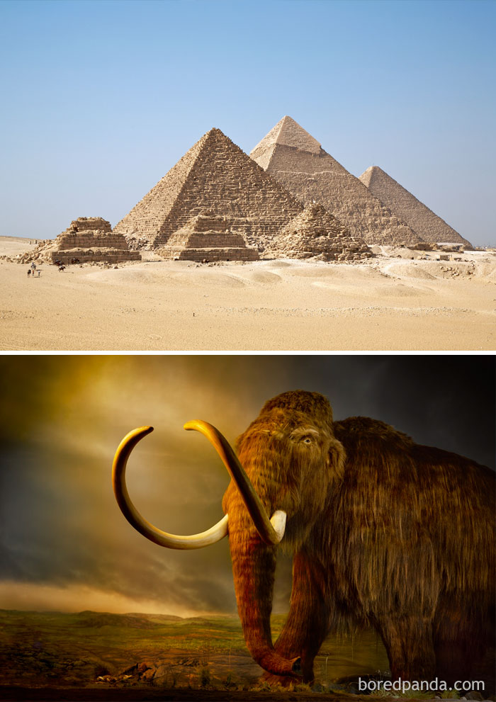 Hechos Históricos 5 PercepciónTemporal Espacio Tiempo Historia vida ciencia épocas