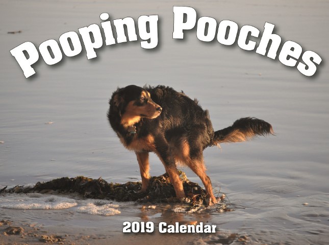 Pooping Pooches 1 calendario perros buenacausa solidaridad protectoradeanimales animalista producto