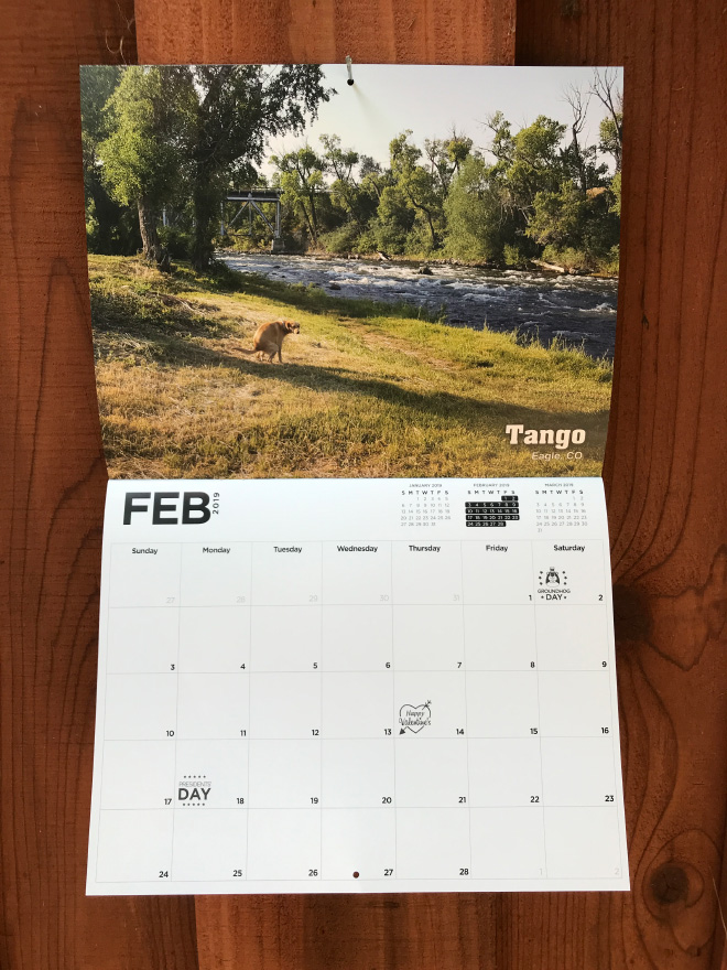 Pooping Pooches 8 calendario perros buenacausa solidaridad protectoradeanimales animalista producto