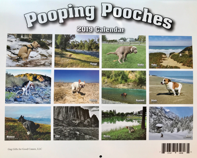 Pooping Pooches 9 calendario perros buenacausa solidaridad protectoradeanimales animalista producto