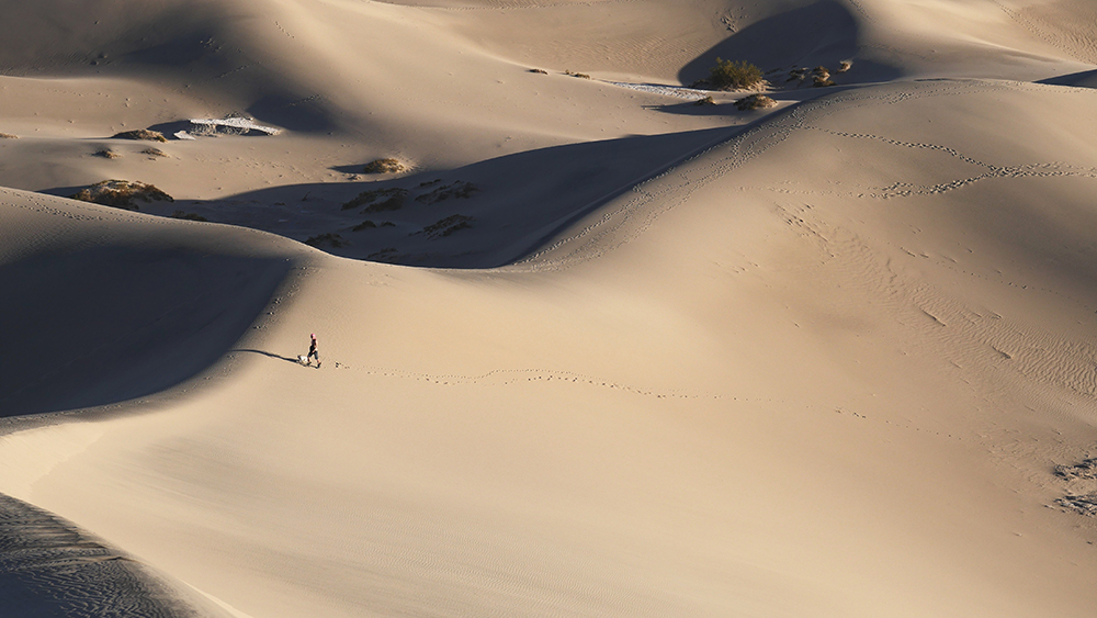 myoung kang 569499 unsplash