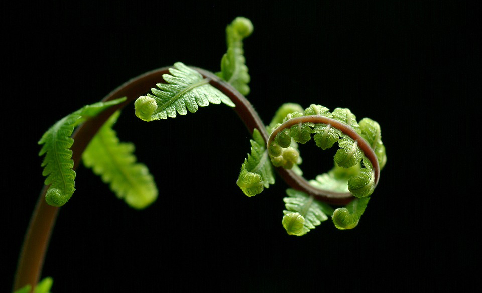 sentido de la vida