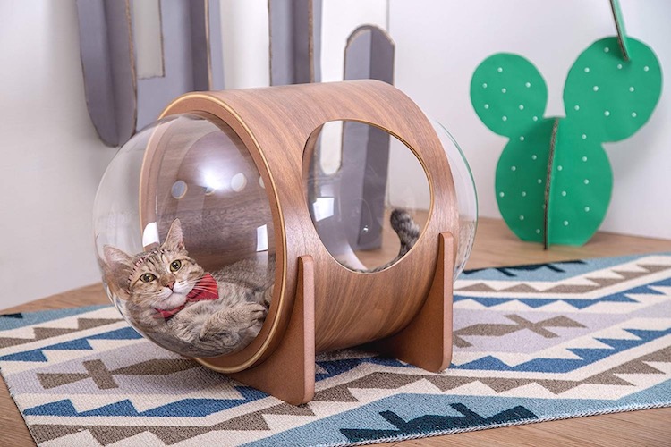 Camas gatos espacio 04
