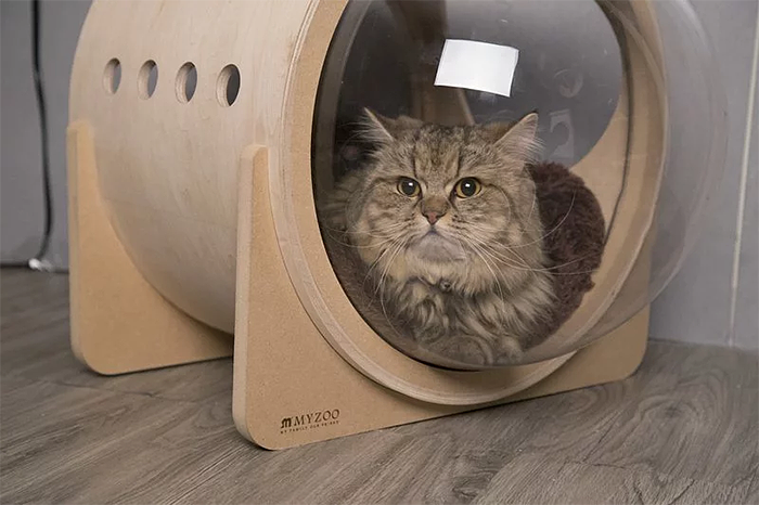 Camas gatos espacio 11