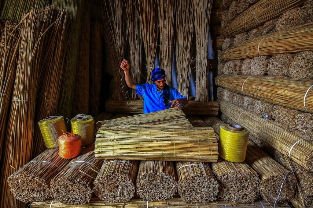 Fotografía 5 Concurso FotógrafoAmbientalDelAño medioambiente ecología planeta CambioClimático